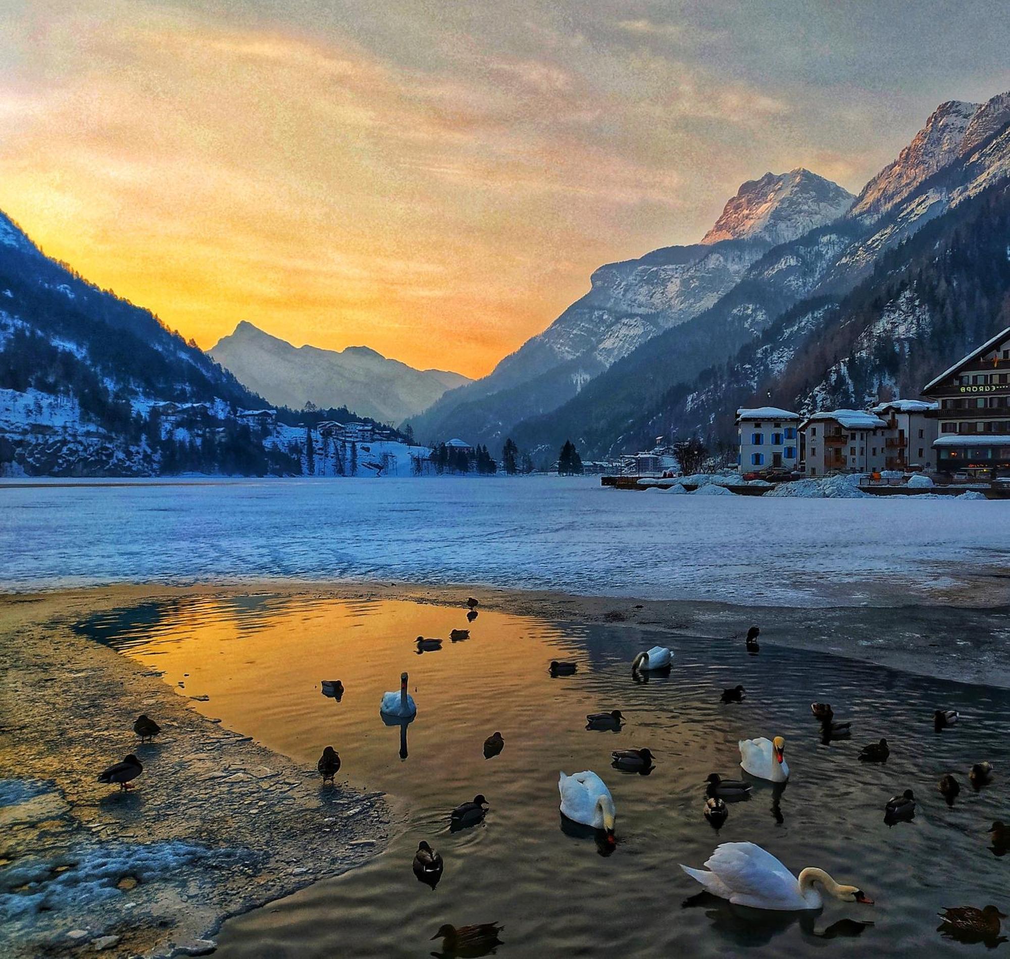 Naturae Lodge Wellness & Spa 알레게 외부 사진